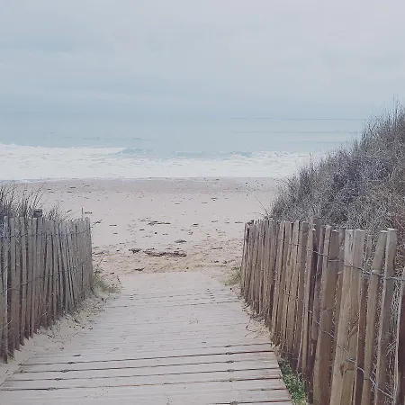 La Loge Du Grand Cedre, De Charme *