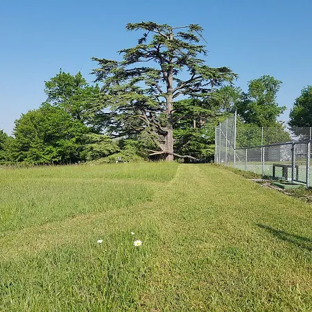 Ferienhaus La Loge Du Grand Cedre, De Charme Fontcouverte (Charente-Maritime)