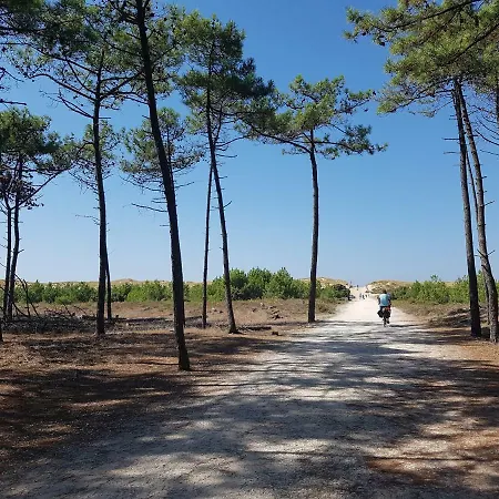 Casa vacanze La Loge Du Grand Cèdre, De Charme Fontcouverte (Charente-Maritime)