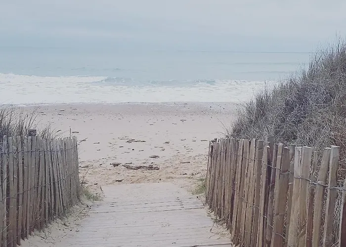 La Loge Du Grand Cedre, De Charme *