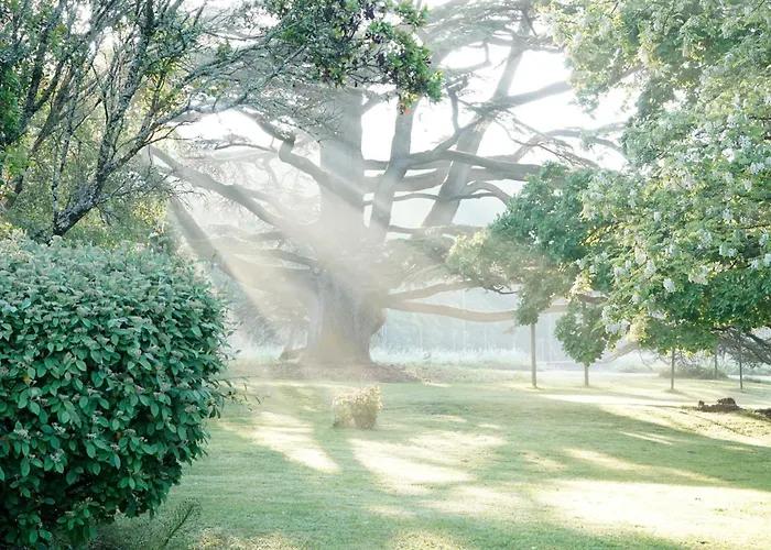 La Loge Du Grand Cedre, De Charme Holiday home Fontcouverte (Charente-Maritime)