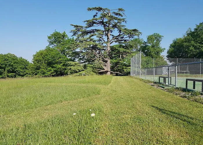 Holiday home La Loge Du Grand Cedre, De Charme Fontcouverte (Charente-Maritime)