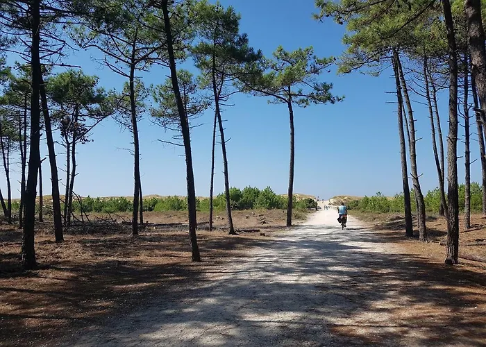 Holiday home La Loge Du Grand Cedre, De Charme Fontcouverte (Charente-Maritime)